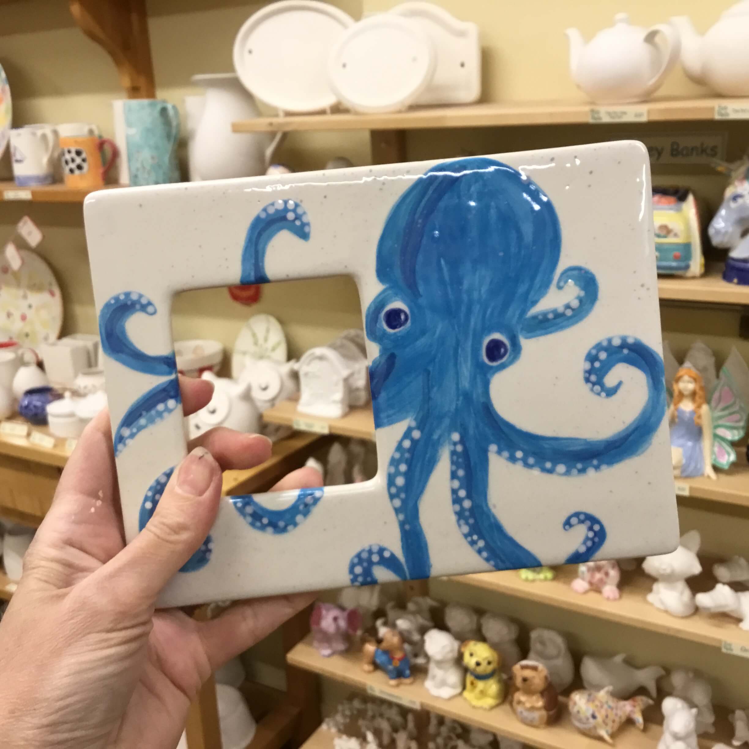 Octopus Message Frame