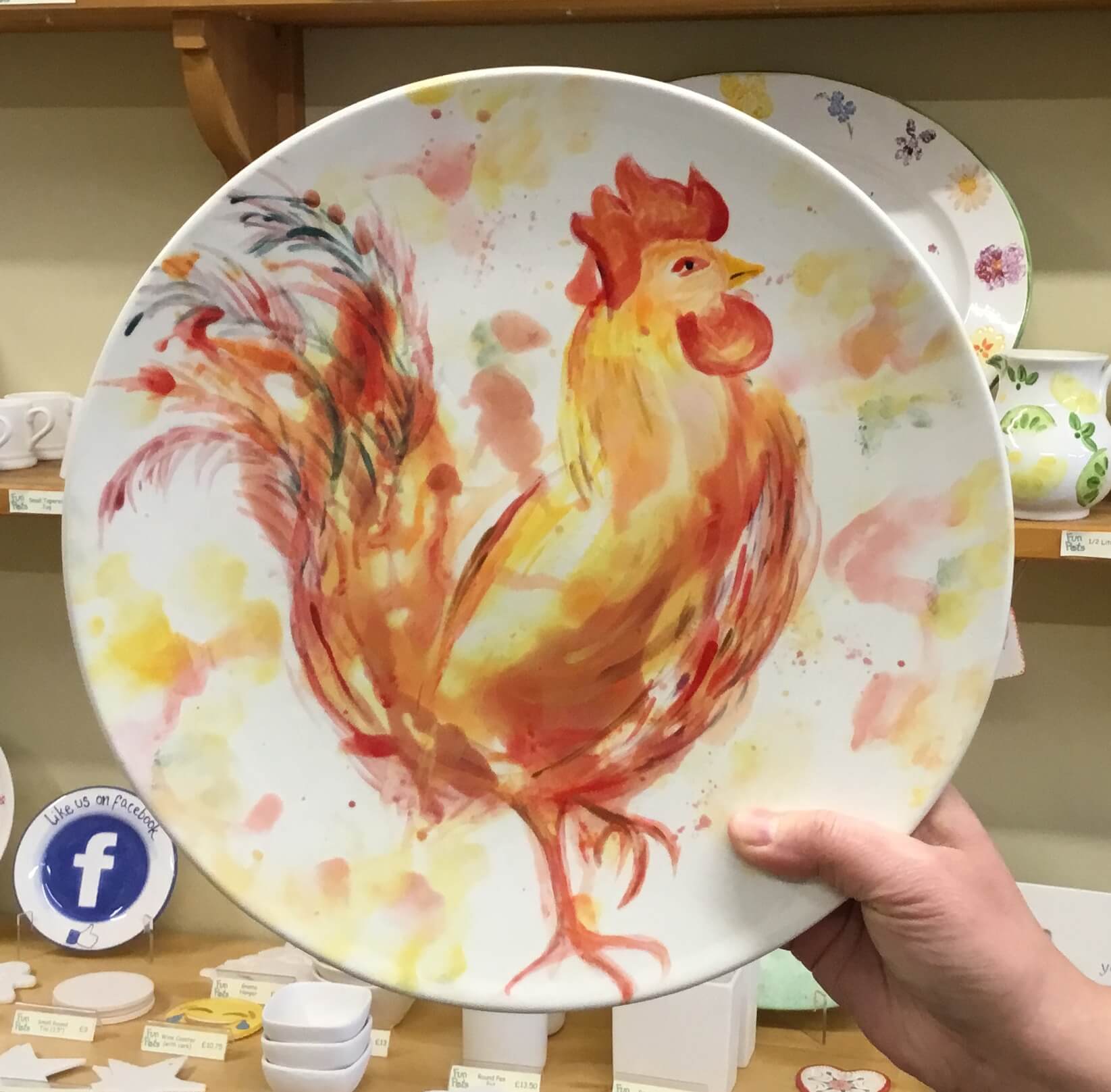 Coupe Platter Plate - Chicken