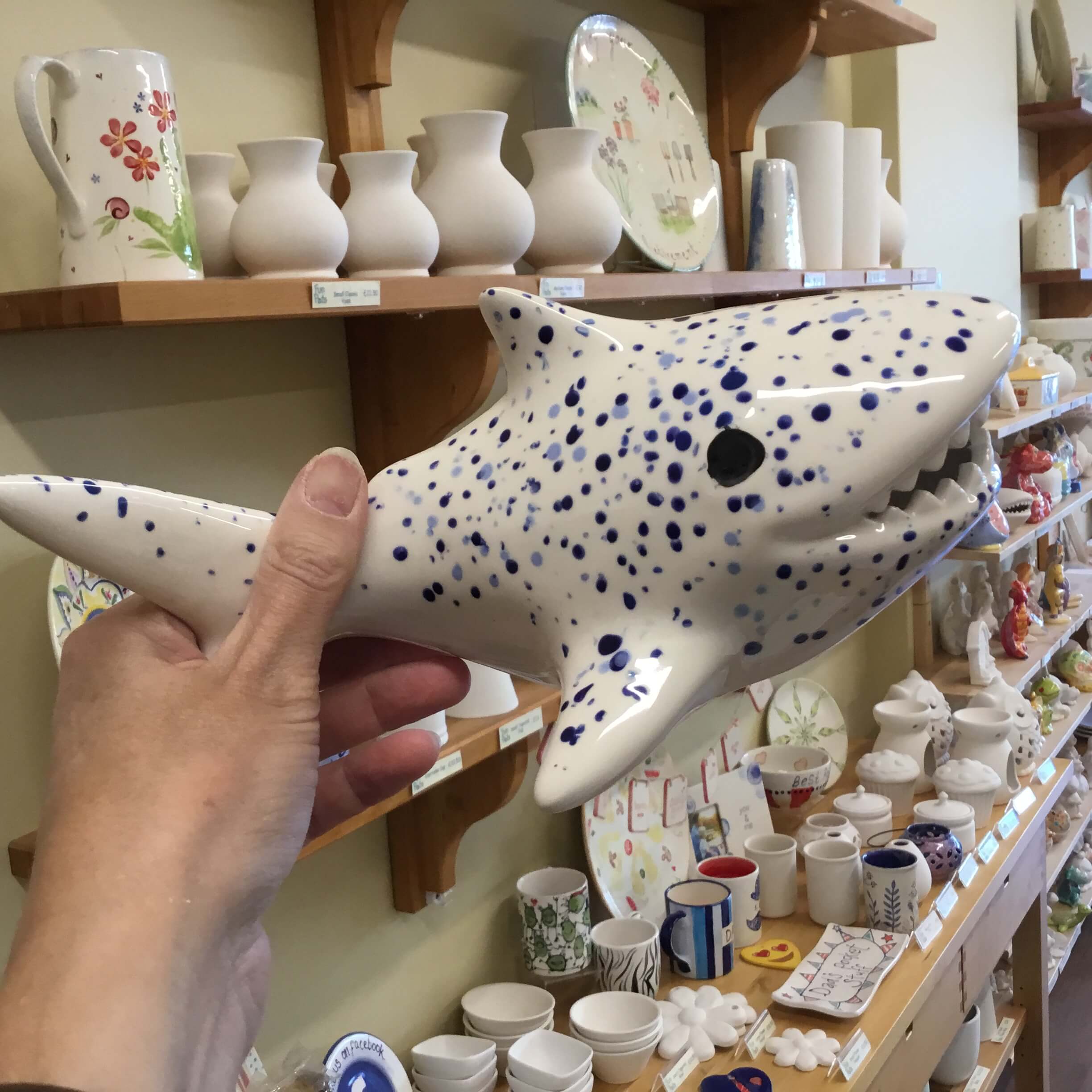 Shark Bank - dotty